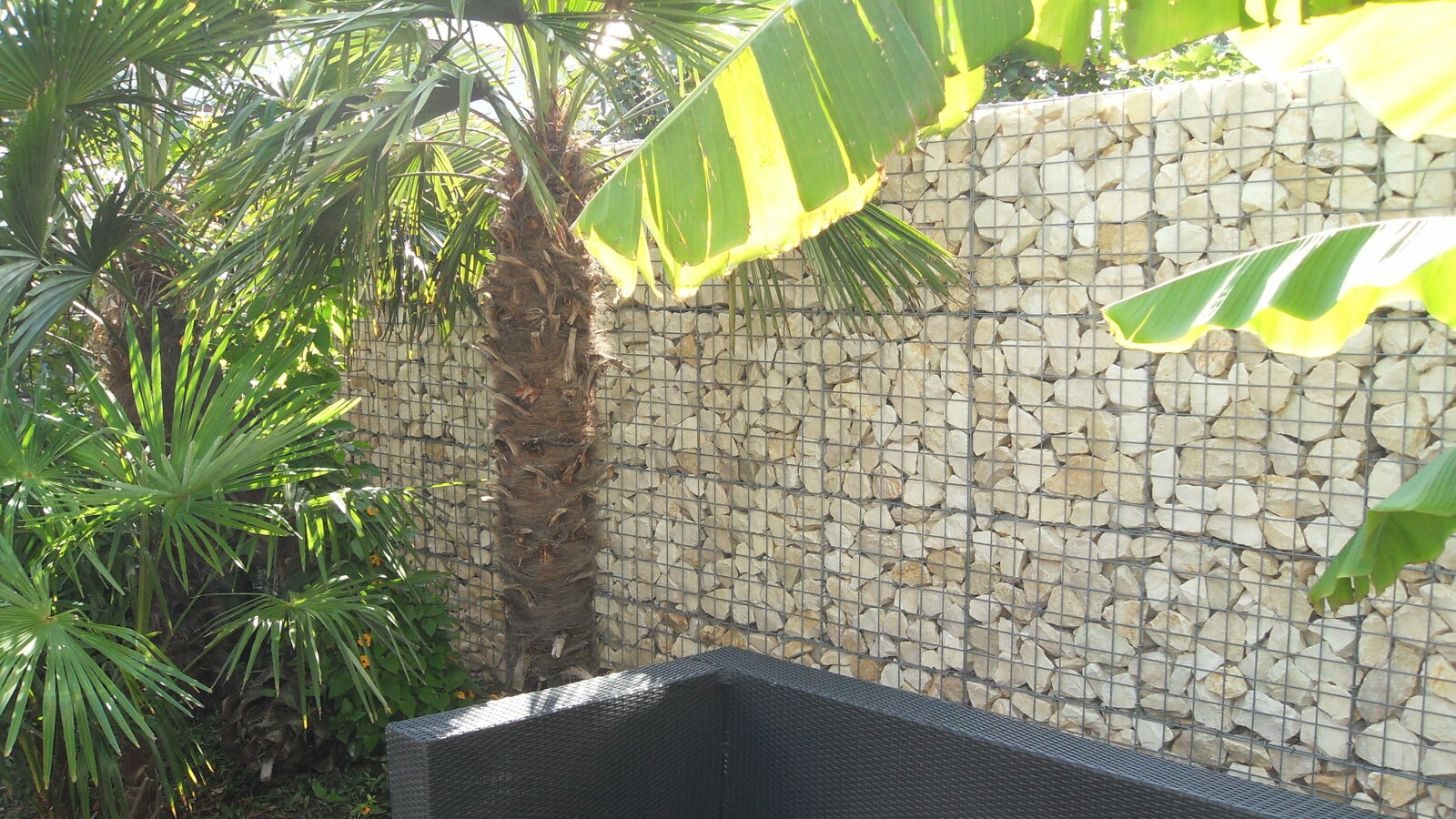 Yellow sun 56-120 200 :1.JPG