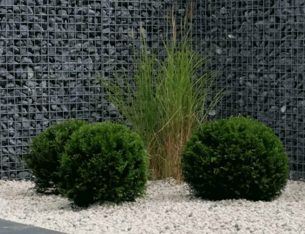 schanskorf schutting amsterdam