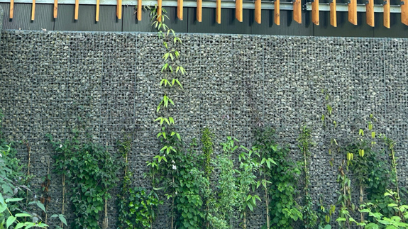 thumbnail_image009.JPG