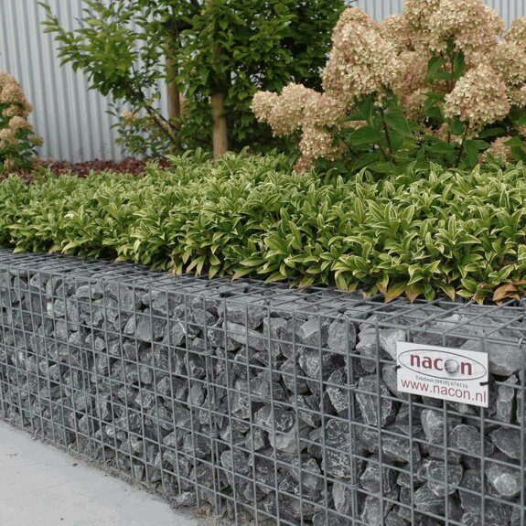 Schanskorven gecombineerd met planten