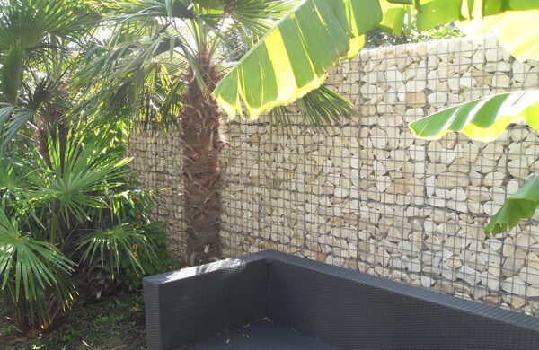 Yellow sun 56-120 200 :1.JPG