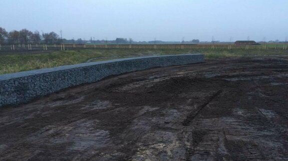 ardo-zundert-1484826384.jpg