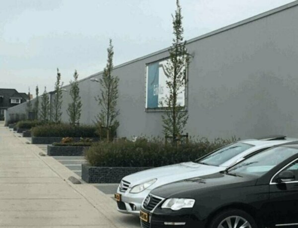 Schanskorven maatwerk bloembakken