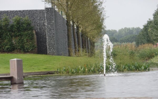 plataan-brakel-1484831781.jpg