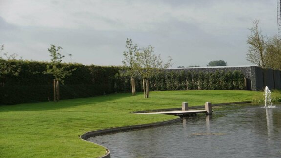 plataan-brakel-1484831784.jpg