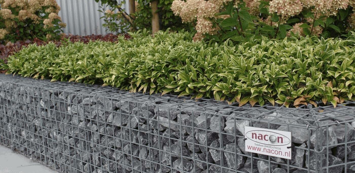 Schanskorven gecombineerd met planten